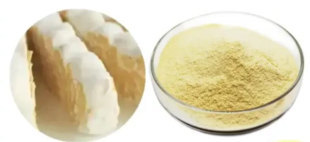 Light Tempeh Extract 90%
