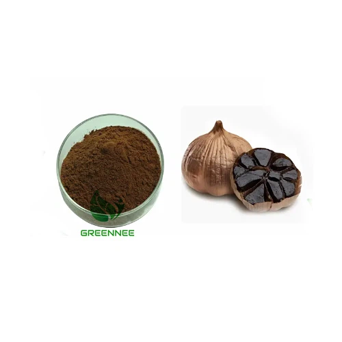 Black Garlic Extract Powder