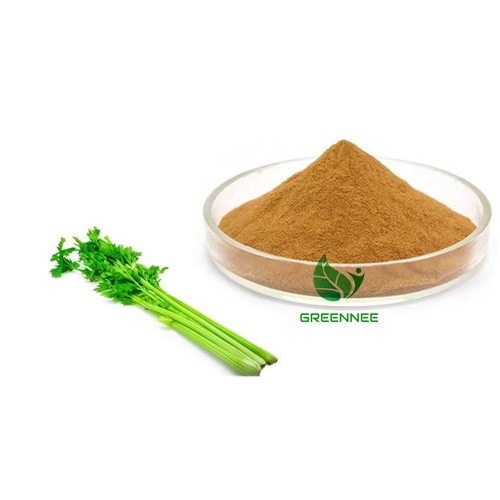 Celery Extract 10:1 To 200:1
