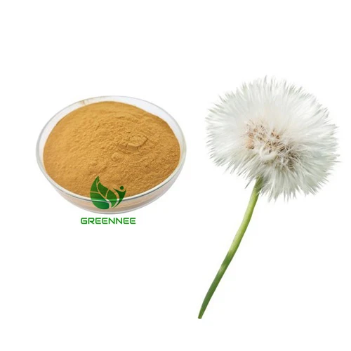 Dandelion Extract 5%Flavonoid