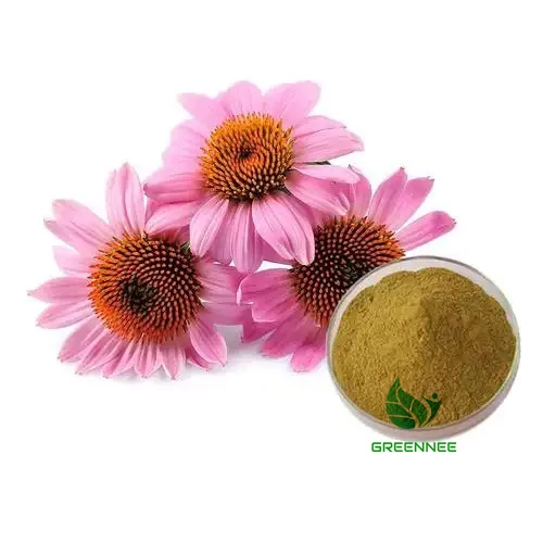 Echinacea Herb Extract Polyphenols 4%