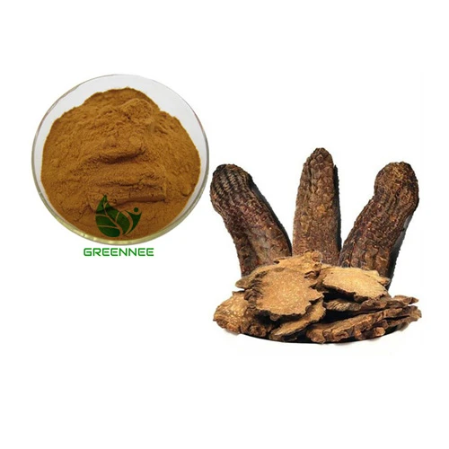 Echinacoside Cistanche Deserticola Extract