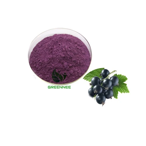 Freeze Dried Blackcurrant Powder