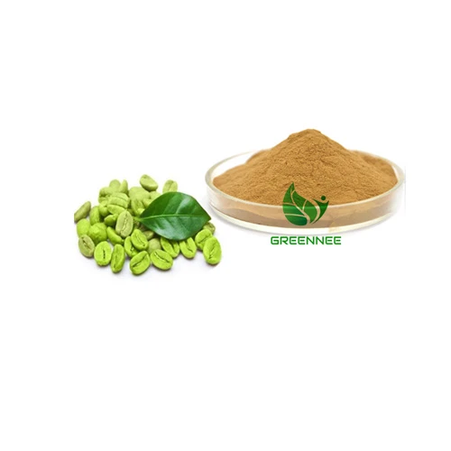 Green Coffee Bean Extract Chlorogenic Acid 50% 98%