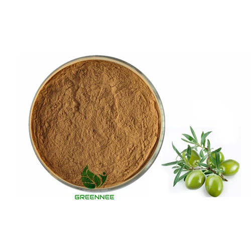 Olea Leaf Extract Oleuropein 20% 40%