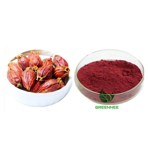 Saffron Extract Powder crocin CAS 42553-65-1 10% 20% 30% 40%