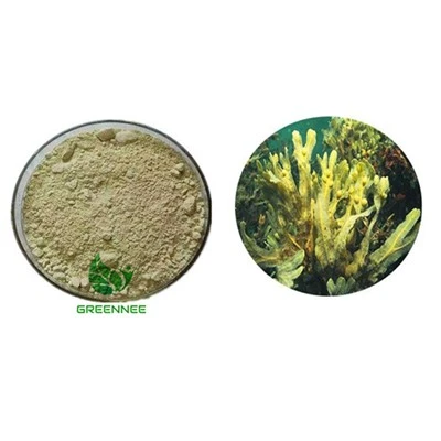 Fucoxanthin 50%