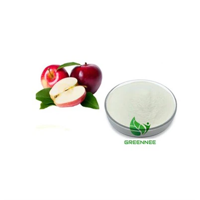 Apple Polyphenols 50%(UV)80%(UV)