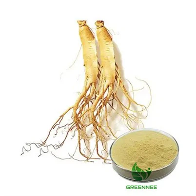 Best Ginseng Extract Ginsenosides