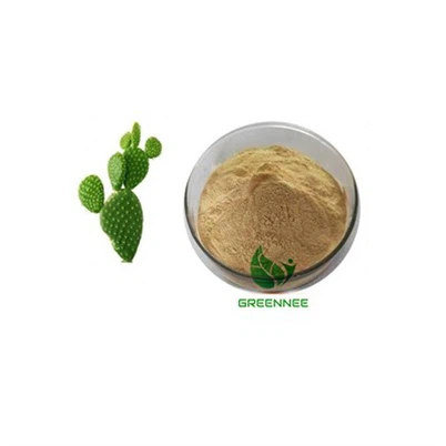 Cactus Extract 10:1; 50:1; 100:1 200:1