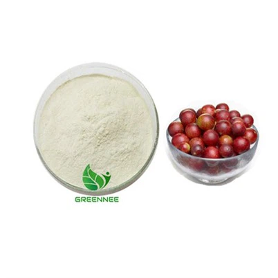Camu Camu Fruit Powder