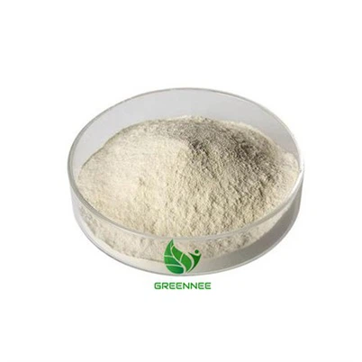 Bacopa Bacosides 50% Bacopa Monnieri Extract