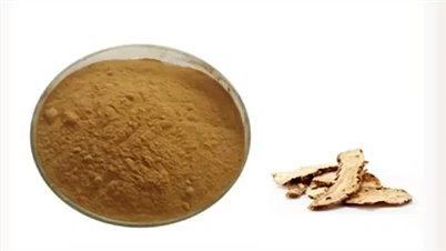 Chinese Angelica ExtractPlant Loquat Leaf Extract Powder 10% 50% 98% Corosolic Acid