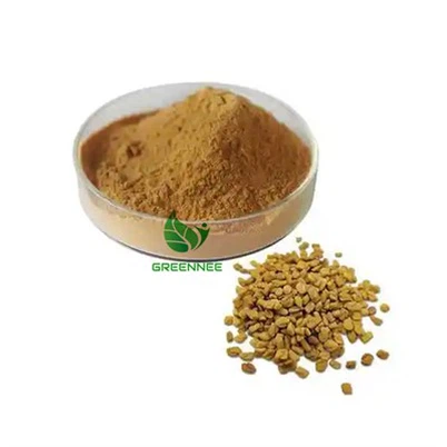 Common Fenugreek Seed Extract 10:1 To 200:1