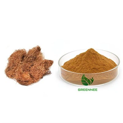 Corn Silk Extract 10:1 To 200:1