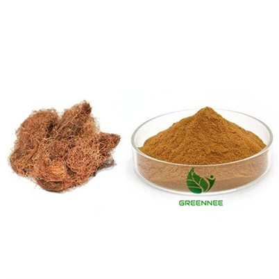 Corn Silk Powder 10:1 20:1 50:1 100:1