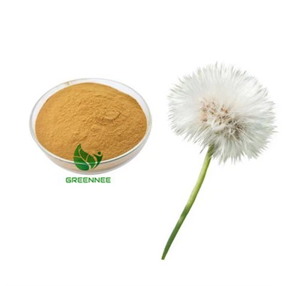 Dandelion Extract 10:1-200:1