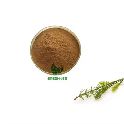 Equiseti Hiemalis Extract 10:1 To 200:1