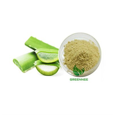 Freeze Dried Aloe Powder
