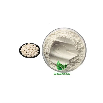 Ginkgo Biloba Powder (fruit)
