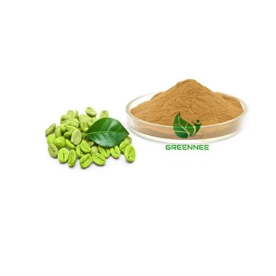 Green Coffee Bean Extract Chlorogenic Acid 50% 98%