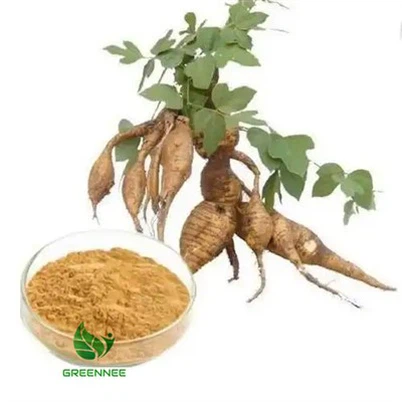 Puerariae Root Extract Isoflavones 40%