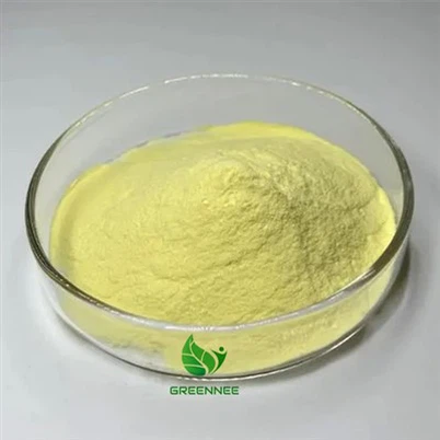 Scutellaria Baicalensis Extract Baicalin