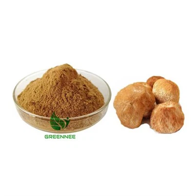Lion's Mane Mushroom Powder 30% Poly+20% β-Glucan