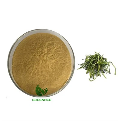 Lonicera Japonica Extract Powder 10:1 Honeysuckle Extract Powder 12:1