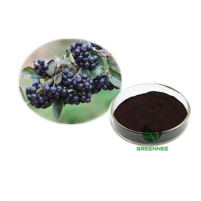 Mountain ash berry extract anthocyanins 25%