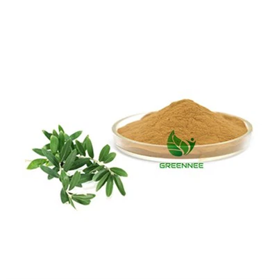 Olive Leaf Extract Hydroxytyrosol 10% 20% (HPLC) CAS 10597-60-1
