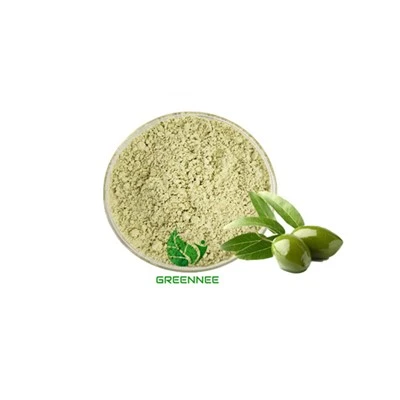 Olive Leaf Extract Oleuropein 10%-70% CAS 32619-42-4