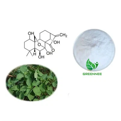 Oridonin 98% CAS 82854-37-3