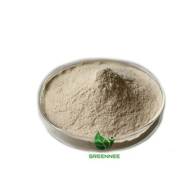 Pancreatin 3000-10000NF