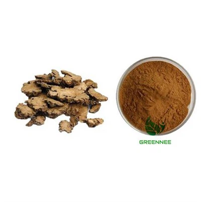 Rhizoma Chuanxiong Extract 10:1 To 200:1