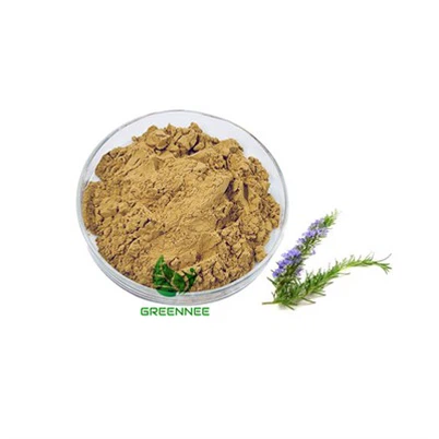 Rosemary Extract Rosemary Acid 5%~30%(HPLC)