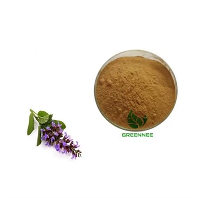 Salvia Extract 10:1; 50:1; 100:1 200:1
