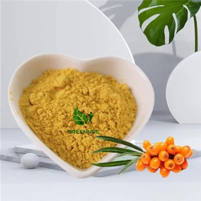 Sea Buckthorn Berry Powder