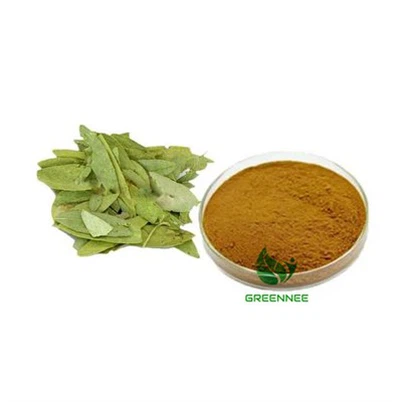 Senna Leaf Extract Sennoside A+B 4%