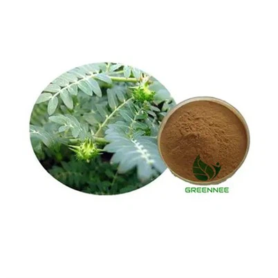Tribulus Terestris P.E. Saponins 40%~90%(UV) CAS 8047-15-2