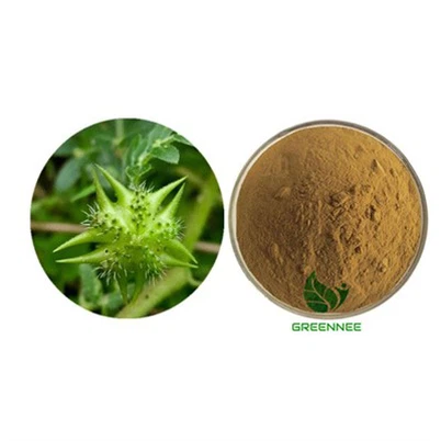 Tribulus Terrestris Extract Powder Saponins