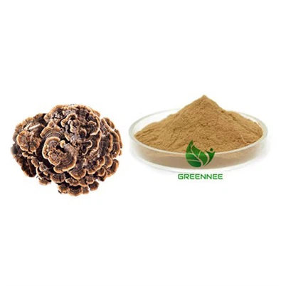 Turkey Tail Mushroom Powder