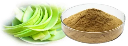 Watermelon Peel Extract