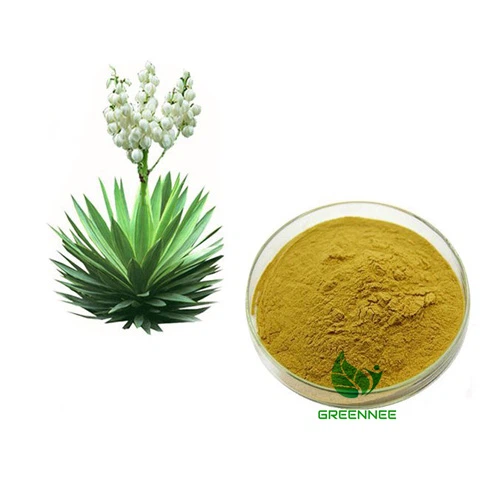 Yucca Extract